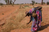 Viaggio in Mali